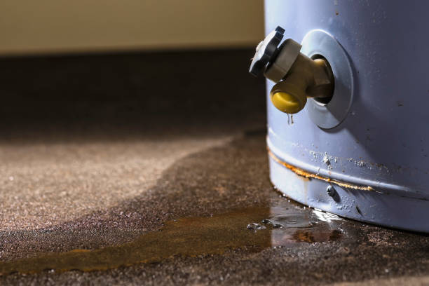 Best Flooded house restoration  in Taylor Lake Village, TX