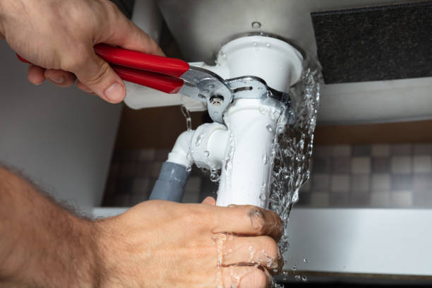 Best Mold removal after water damage  in Taylor Lake Village, TX
