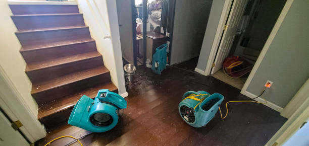 Best Professional water damage repair  in Taylor Lake Village, TX
