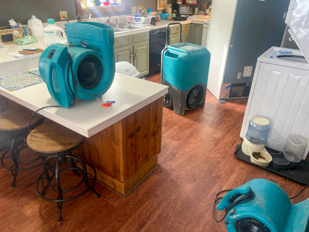  Taylor Lake Village, TX Water damage restoration Pros