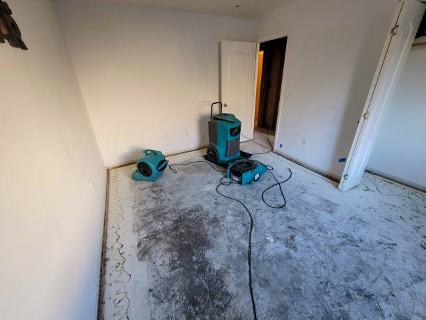 Best Water damage cleanup near me  in Taylor Lake Village, TX