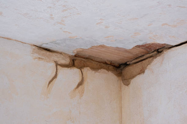  Taylor Lake Village, TX Water damage restoration Pros