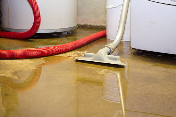 Trusted Taylor Lake Village, TX Water damage restoration Experts