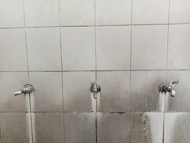 Best Commercial water damage restoration  in Taylor Lake Village, TX